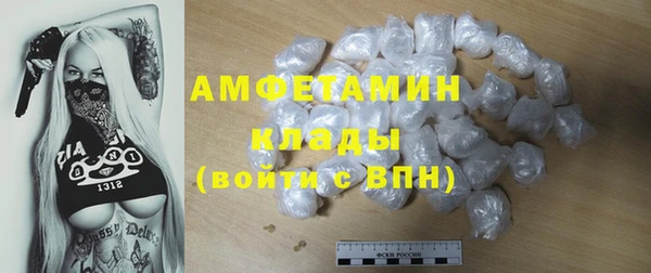индика Баксан