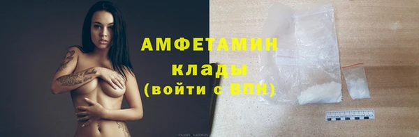 индика Баксан