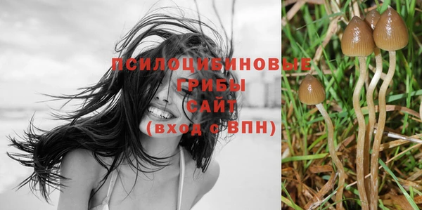 индика Баксан