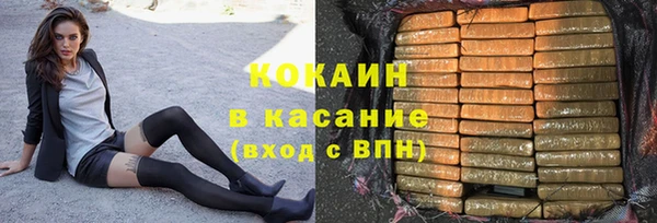 индика Баксан