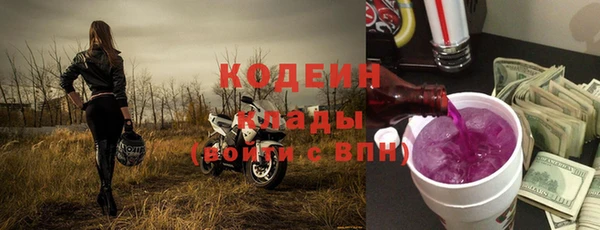 индика Баксан