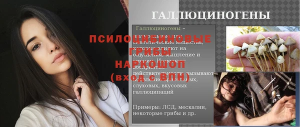 индика Баксан