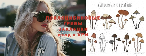 индика Баксан